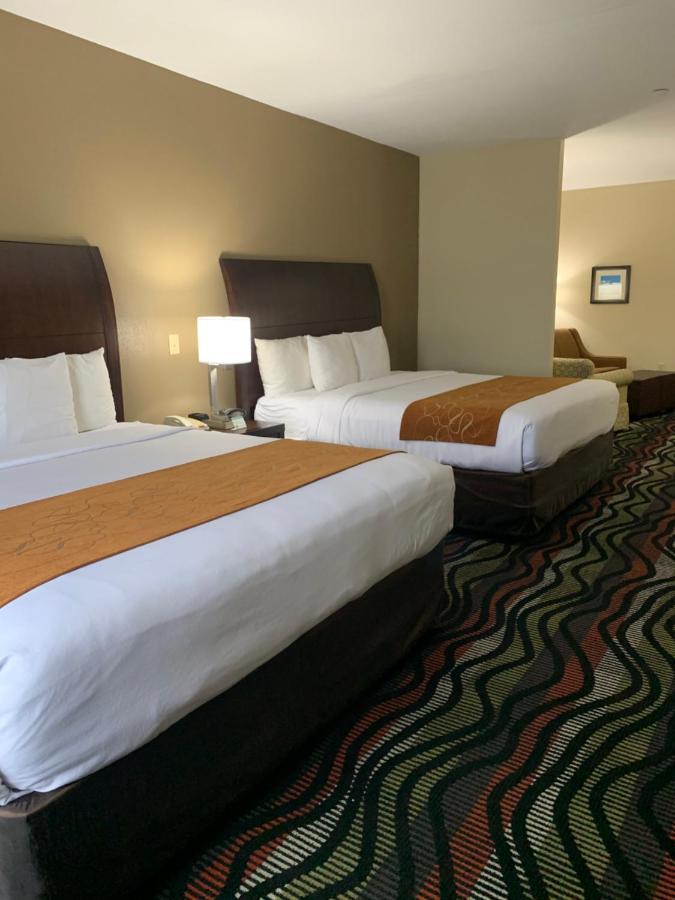 Comfort Suites Beaumont I-10 المظهر الخارجي الصورة
